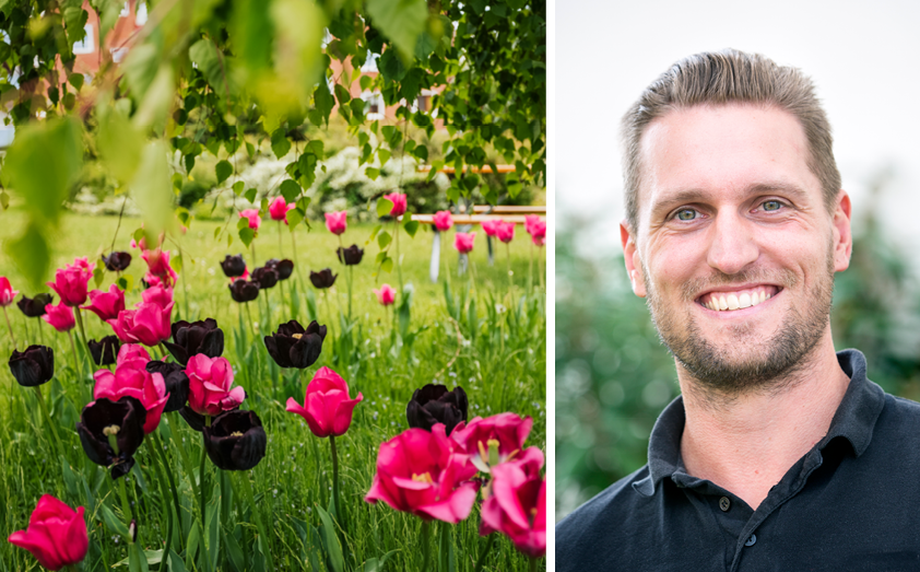 Bild med blommor och porträtt på ung man 