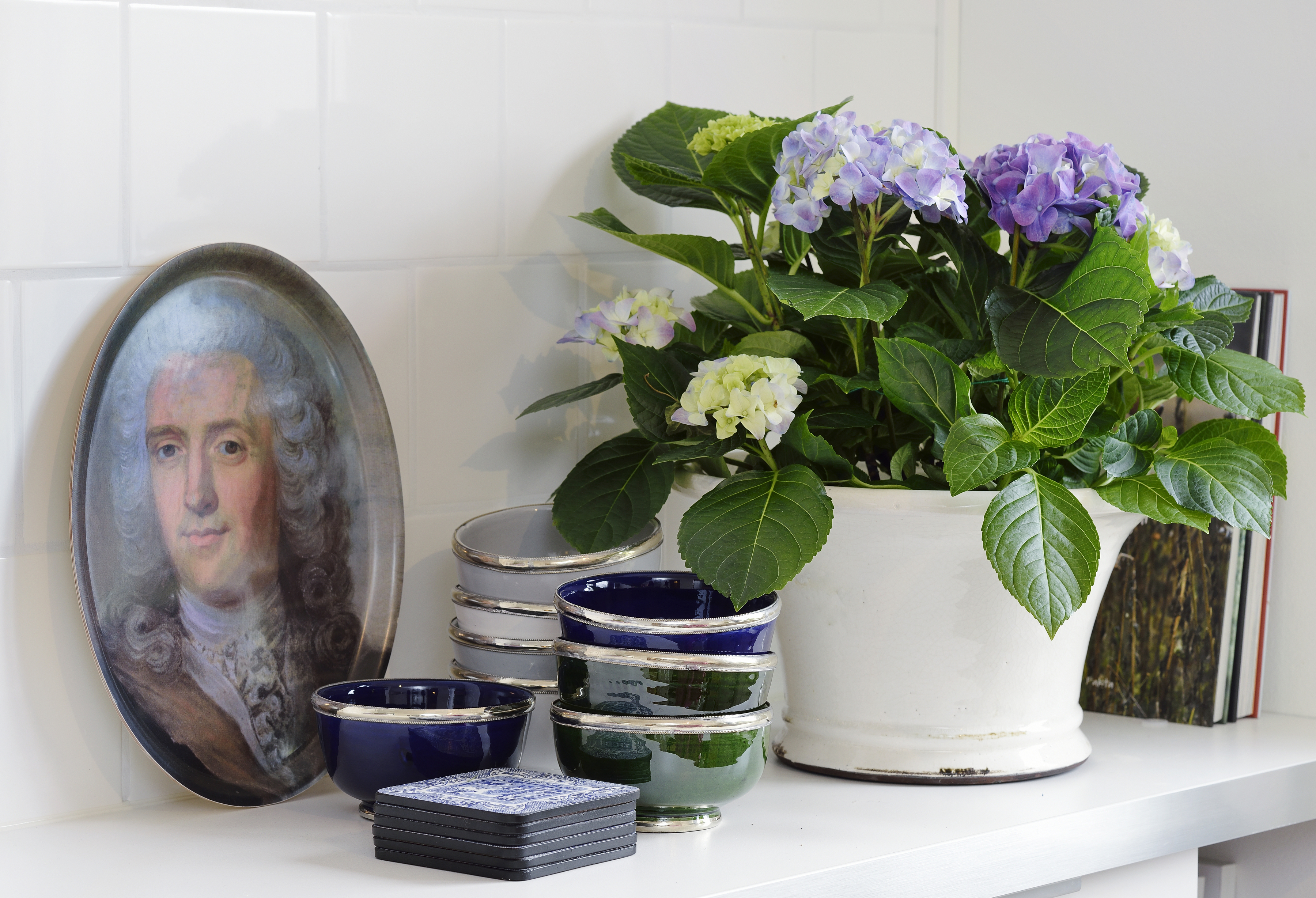 En blommande Hortensia. 