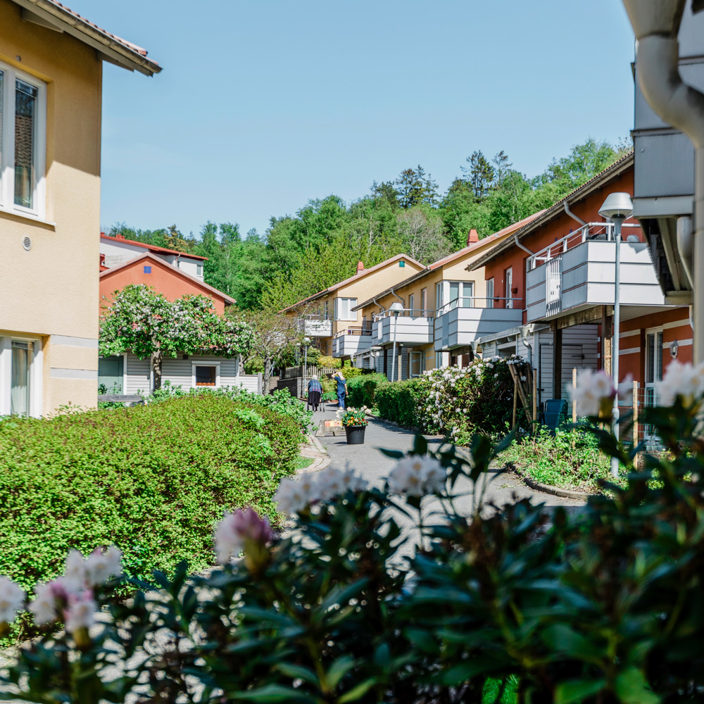 Ett lummigt somrigt bostadsområde med hus i tvåplan med balkong.