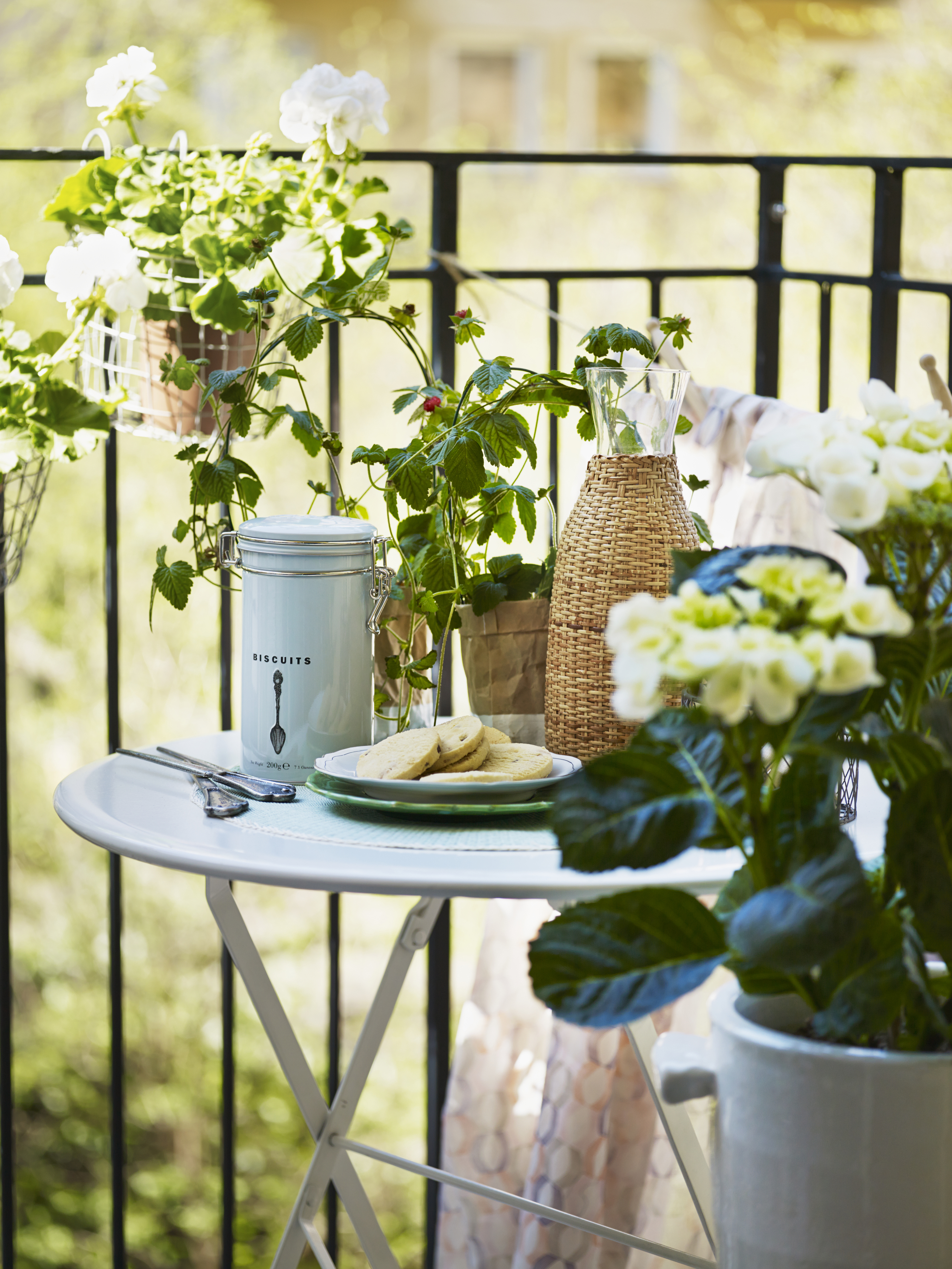 En närbild på växter och blommor i krukor och ett bord med fika på en balkong.
