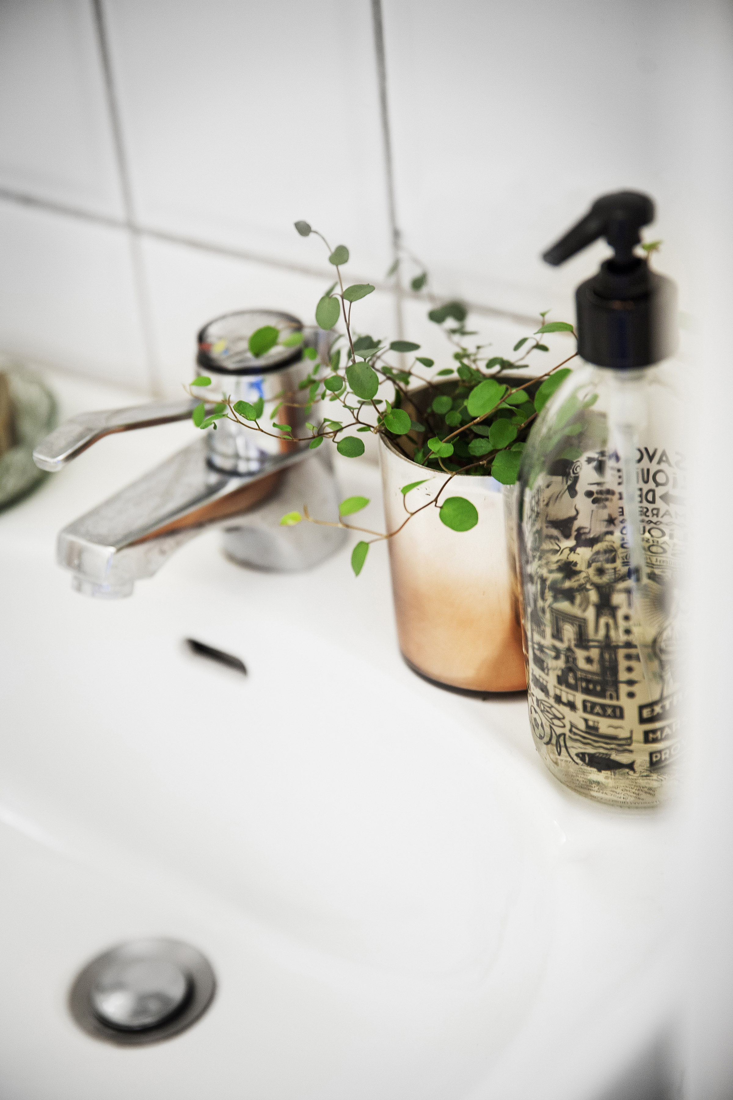 En liten kruka med en skir växt på handfatet i badrummet bredvid handtvålen. 