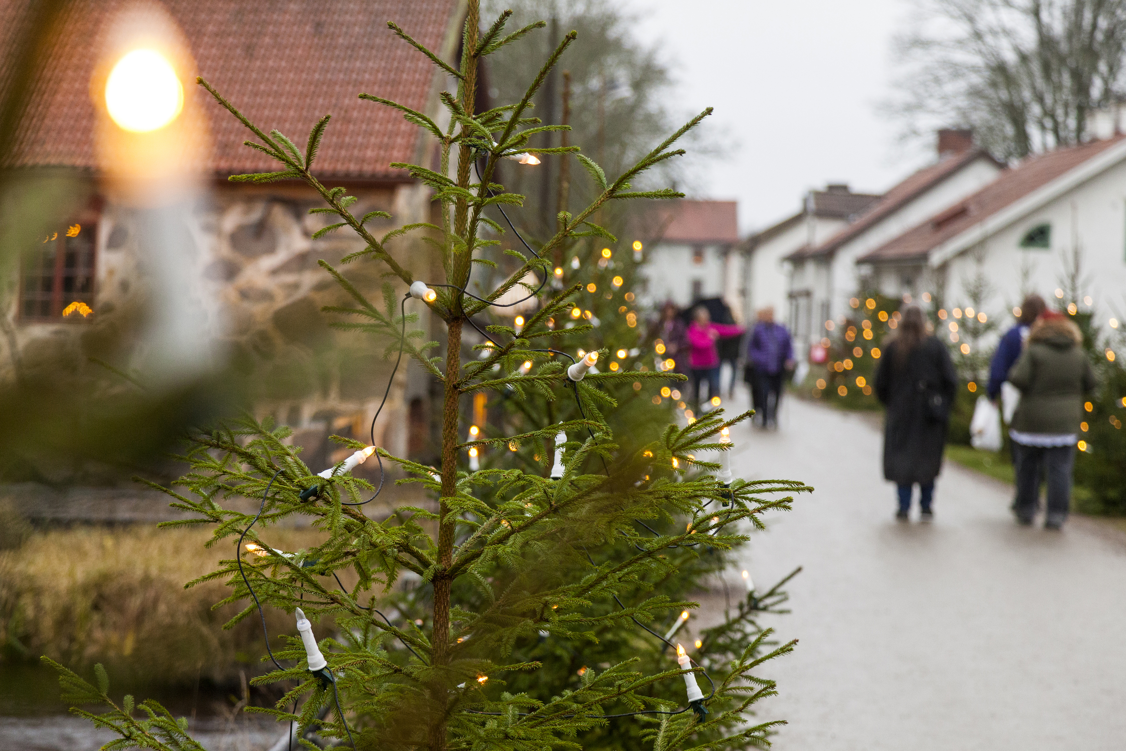 En gata kantad med hus och julgranar med belysning i där människor promenerar. 